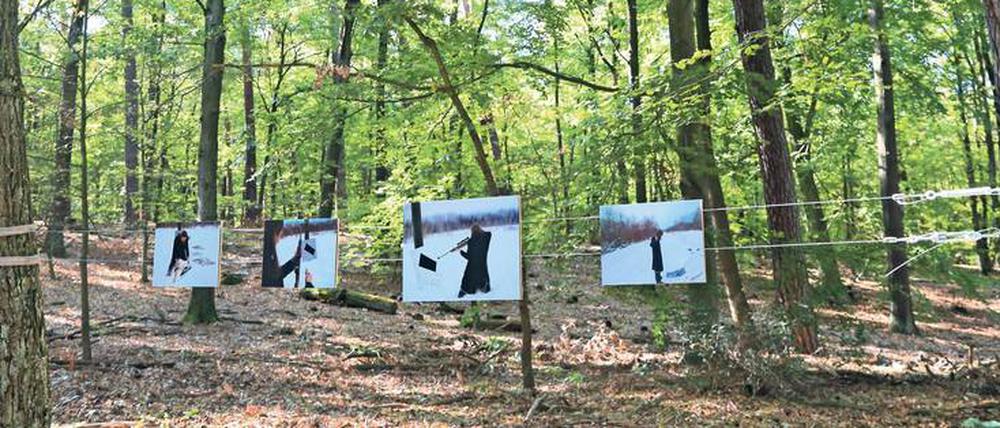 Astrein. Im spätsommerlichen Licht sieht alles gut aus – auch eine Fotoausstellung im Wald.