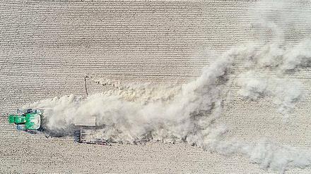 Ganz schön staubig. Für Brandenburgs Bauern war der Rekord-Sommer eine Rekord-Katastrophe. 