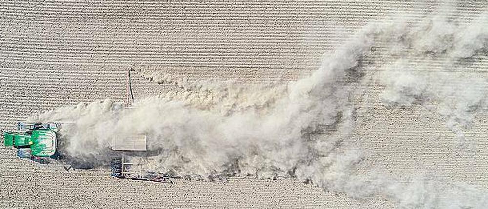 Ganz schön staubig. Für Brandenburgs Bauern war der Rekord-Sommer eine Rekord-Katastrophe. 