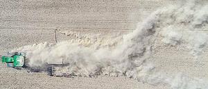 Ganz schön staubig. Für Brandenburgs Bauern war der Rekord-Sommer eine Rekord-Katastrophe. 