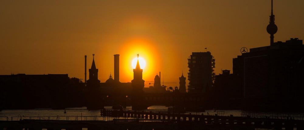 1 Stadt, 12 Newsletter. Wir blicken in jeden Berliner Bezirk.