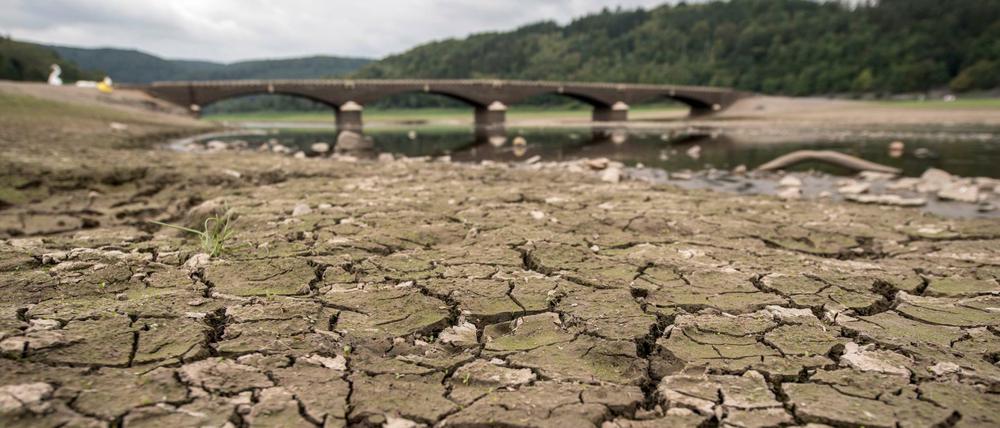 Völlig ausgetrocknet ist der Boden des Edersees nahe der Aseler Brücke in Hessen.