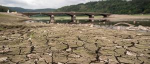 Völlig ausgetrocknet ist der Boden des Edersees nahe der Aseler Brücke in Hessen.