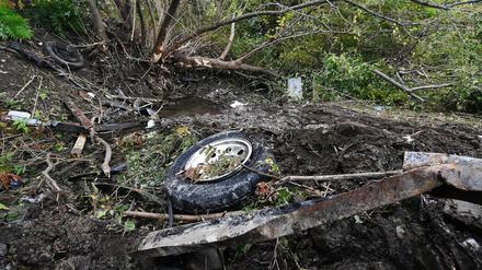 Teile der Unfall-Limousine liegen abseits der Straße hinter Büschen bei Schoharie im US-Bundesstaat New York.