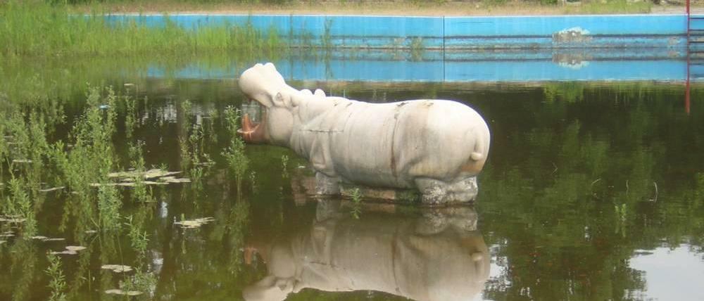 Wer erinnert sich noch an das Wernerbad in Kaulsdorf, das 2002 für immer schloss? Viele verbinden das Bad mit dieser Betonskulptur des Nilpferds "Knautschke", die noch heute dort steht. Das Flusspferd steht unter Denkmalschutz, doch die anderen Reste des ehemals beliebten Bades sollen bald verschwinden. Liebe Leserinnen, liebe Leser: Senden Sie Ihre Fotos von verlorenen Orten in Berlin und dem Umland an leserbilder@tagesspiegel.de!