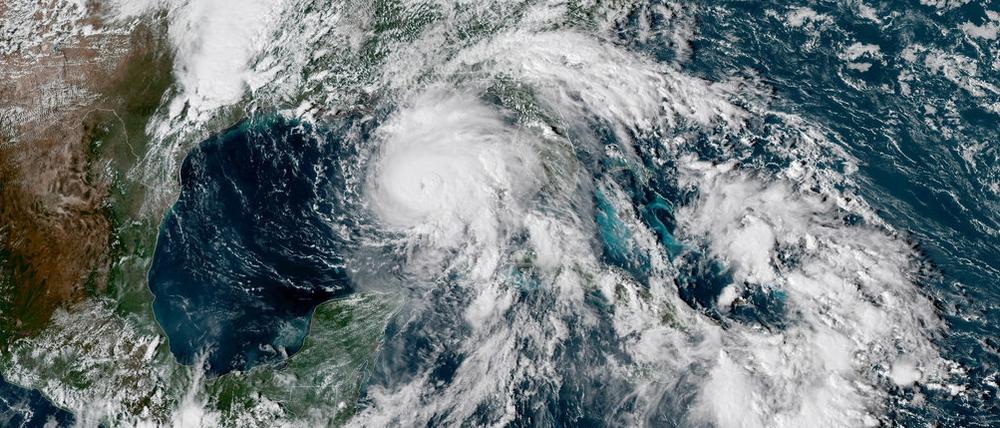 Mit Windgeschwindigkeiten von 195 Stundenkilometern nähert sich Hurrikan "Michael" der Westküste Floridas.