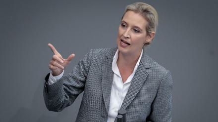 Alice Weidel, Fraktionsvorsitzende der AfD