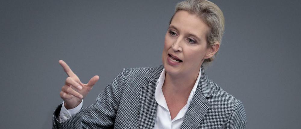 Alice Weidel, Fraktionsvorsitzende der AfD