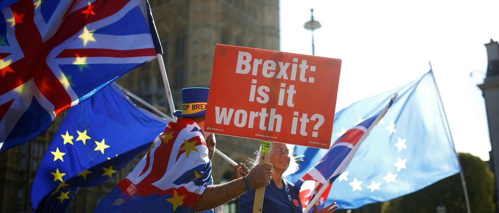 Anti-Brexit-Demonstranten am 11. Oktober vor dem Parlament in London.