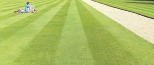 Nicht ganz dicht. Menschen hindern auf riesigen Flächen Gras am Wachsen. Sie nennen das dann Rasen – und einen wichtigen Teil ihrer Kulturlandschaften. Wasser, Dünger und Energie, die dafür verbraucht werden, ergeben eine Ökobilanz nahe der einer Betonplatte.