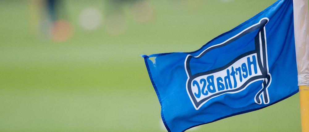 Branchenprimus? Hertha BSC will viel Geld durch Anleihen einnehmen.