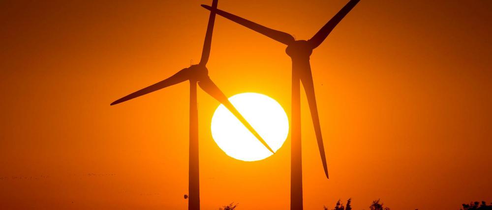 Teurer Strom. Die Ökoumlage sinkt, trotzdem steigt der Preis.