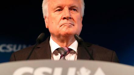 CSU-Chef Horst Seehofer 