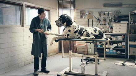 Marcello Fonte bei der Arbeit.