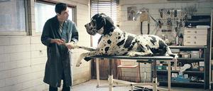 Marcello Fonte bei der Arbeit.