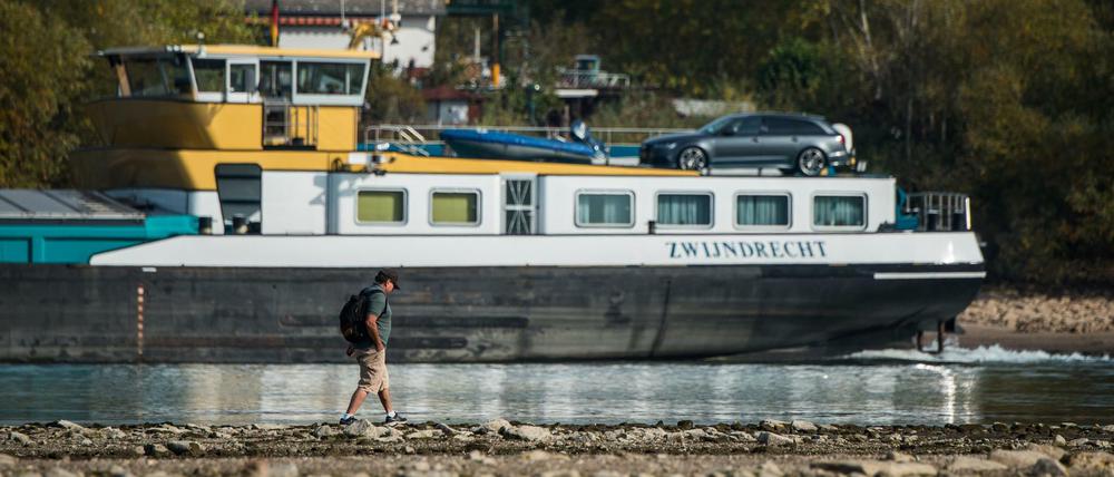 Ein Binnenschiff passiert in der verbliebenen schmalen Fahrrinne einen Spaziergänger auf einer Sandbank im Rhein.