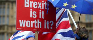 Anti-Brexit-Demonstranten protestieren vor dem Parlament in London. 