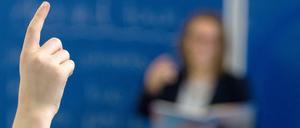 AfD-Meldeplattform gegen Lehrer sollte am Freitag in Brandenburg online gehen - scheiterte aber an "technischen Problemen juristischer Art".