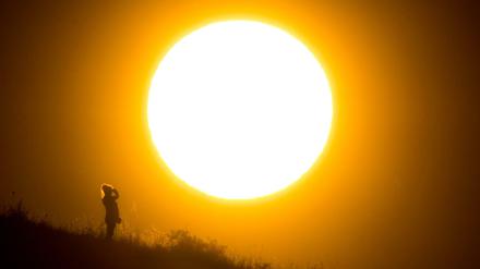 Eine Spaziergängerin steht vor der untergehenden Sonne am Kronsberg in Niedersachsen.