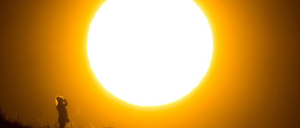 Eine Spaziergängerin steht vor der untergehenden Sonne am Kronsberg in Niedersachsen.