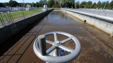 Problem für die Kläranlagen: Im Abwasser finden sich immer mehr Arzneimittelrückstände.