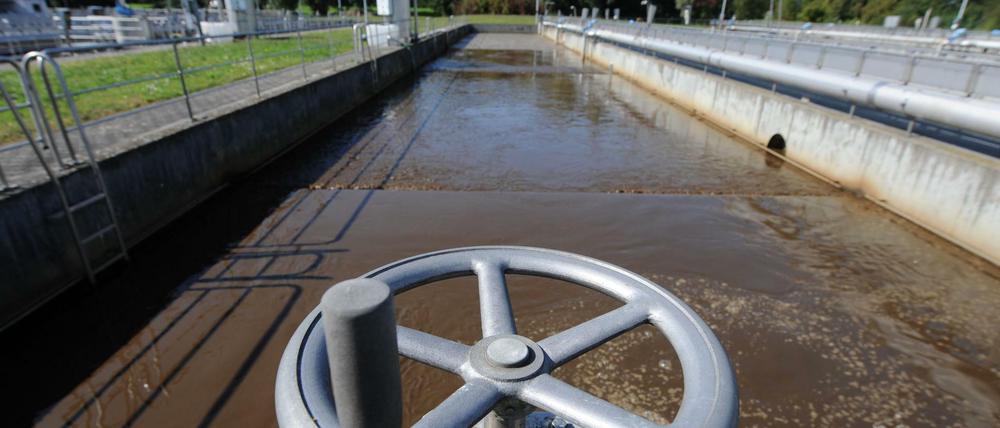 Problem für die Kläranlagen: Im Abwasser finden sich immer mehr Arzneimittelrückstände.