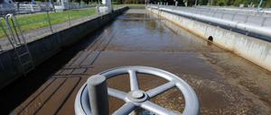Problem für die Kläranlagen: Im Abwasser finden sich immer mehr Arzneimittelrückstände.