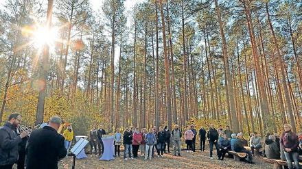 Wer sich in Beelitz nicht auf dem Friedhof bestatten lassen will, kann auch einen Platz im städtischen Forst wählen. 