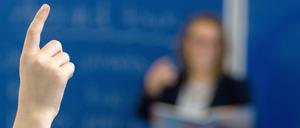 Auf dem AfD-Meldeportal sollen angebliche Verstöße von Schulen und Lehrer gegen das Neutralitätsgebot gemeldet werden können.