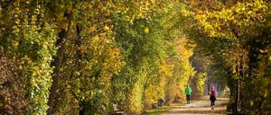 Die Tage werden kürzer, das Risiko für Läuferinnen deswegen größer?