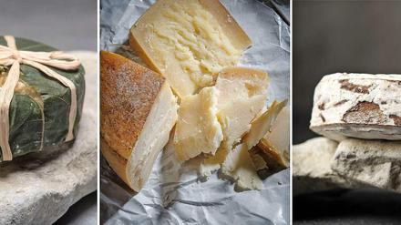 Vom Bregenzerwald bis Amerika. Ursula Heinzelmann hat sie alle verkostet: den „Figaro“ der Andante Dairy in Kalifornien, den „Pecorino Verde Naturale“ von Gianfranco Bussu aus Sardinien, den „Harbison“ von Jasper Hill Creamery &amp; Cellars in Vermon (von oben). 