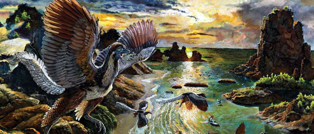 So soll es vor Millionen Jahren ausgesehen haben: Rekonstruktion eines Archaeopteryx albersdoerferi.
