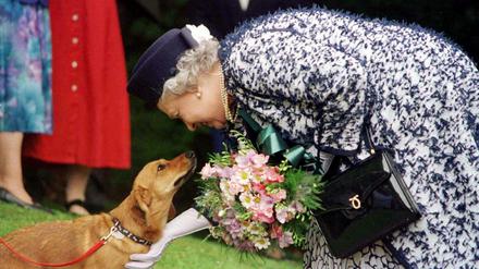 Königin Elizabeth II. und ihr Corgi.
