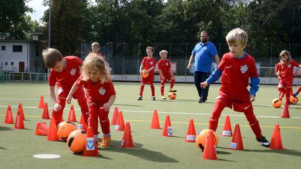 Mehr als nur Nachwuchsarbeit: Viktoria Berlin ist bekannt für seine Nachwuchsarbeit, will aber stärker auf die Männer-Mannschaft setzen.