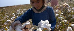 Kinder ernten Baumwolle auf einem Feld bei Dawlatabad in der Balkh-Provinz im Norden Afghanistans. Das Foto wurde Ende Oktober 2021 aufgenommen.