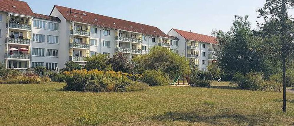 Auf der grünen Wiese. Hier in Karlshorst sollten Neubauten mit 240 Wohnungen entstehen – eigentlich.