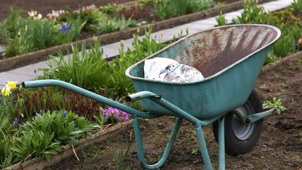 Gärtnern mitten in der Stadt? Kleingärten machen's möglich.