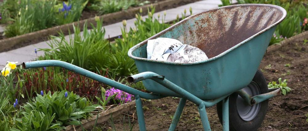 Gärtnern mitten in der Stadt? Kleingärten machen's möglich.