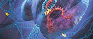 Ersatz. Das Crispr-Prinzip in der Medizin heißt: Ausschneiden von unerwünschten, krankmachenden Genabschnitten und Einfügen von solchen, die den Patienten im besten Falle heilen können.