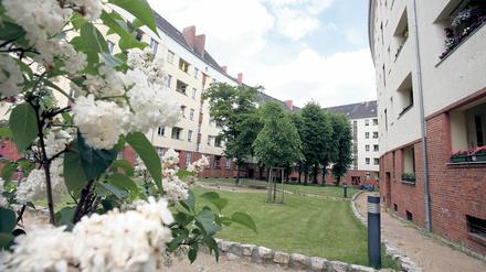 Zum Durchatmen. Blick in einen Innenhof der denkmalgeschützten Gartenstadt Atlantic in Gesundbrunnen