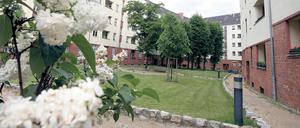 Zum Durchatmen. Blick in einen Innenhof der denkmalgeschützten Gartenstadt Atlantic in Gesundbrunnen