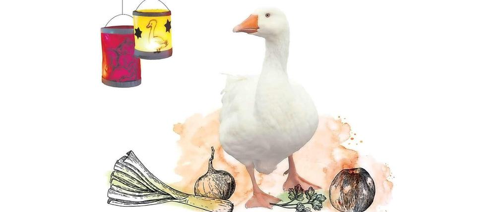 Eine gut gebratene Martinsgans macht den Beginn der dunklen Jahreszeit für den Menschen sehr viel erträglicher.