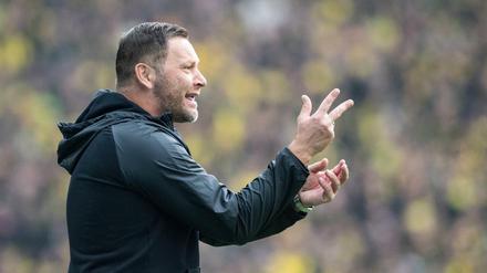 Gegen die Großen sah Pal Dardais Hertha in dieser Spielzeit gut aus.