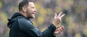 Gegen die Großen sah Pal Dardais Hertha in dieser Spielzeit gut aus.
