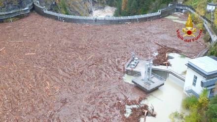 Baumstämme treiben im Wasser an einem Staudamm bei Belluno in Italien.