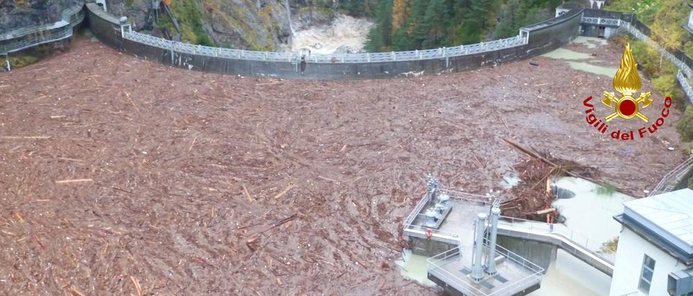 Baumstämme treiben im Wasser an einem Staudamm bei Belluno in Italien.
