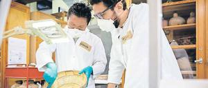 Orlando Fontes (links) und Thiago Lopes da Costa Oliveira aus Brasilien begutachten im Depot des Ethnologisches Museums eine Schale.