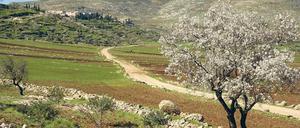 „Ich habe die Flucht von meinem Großvater geerbt“, schreibt Yamen Hussein. „Er flüchtete nach Syrien, ich aus Syrien.“