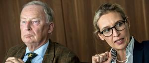 Die Bundesvorsitzenden der AfD, Alexander Gauland und Alice Weidel.