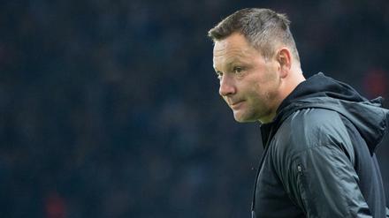 Berlins Cheftrainer Pal Dardai 